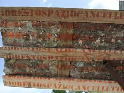 Un indizio sulla loro origine si pu� trovare sui sostegni in legno delle �statue�, l� dove � scritta a chiare lettere la frase �#Iorestospaziocancelletto�